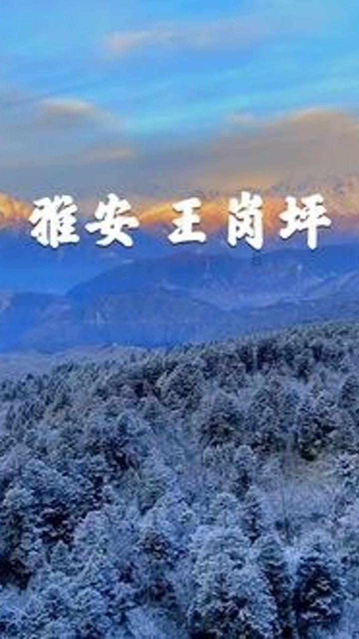 泰国国王的权力到底有多大